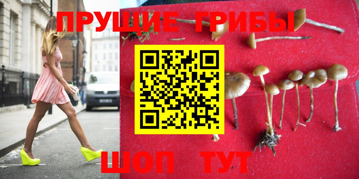 Галлюциногенные грибы мицелий Тихорецк