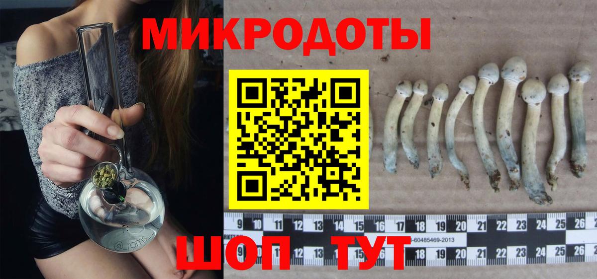 Галлюциногенные грибы ЛСД  Псилоцибиновые грибы мухоморы  Вход с VPN  Тихорецк 
